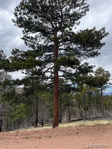 Lot 513 Leslie Loop