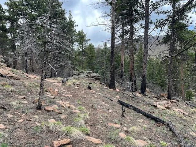 Lot 513 Leslie Loop Fort Garland, CO 81133