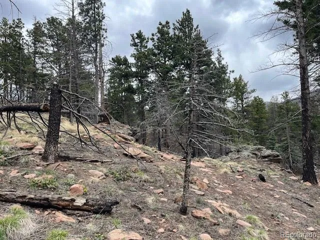 Lot 513 Leslie Loop Fort Garland, CO 81133