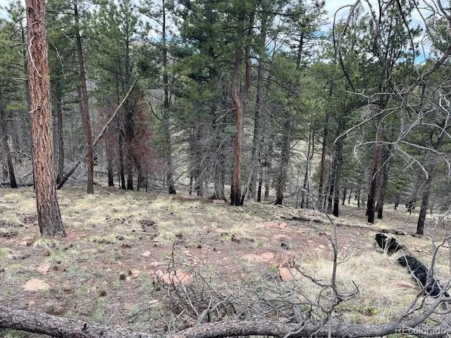 Lot 513 Leslie Loop Fort Garland, CO 81133