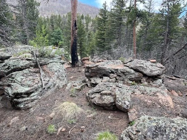 Lot 513 Leslie Loop Fort Garland, CO 81133