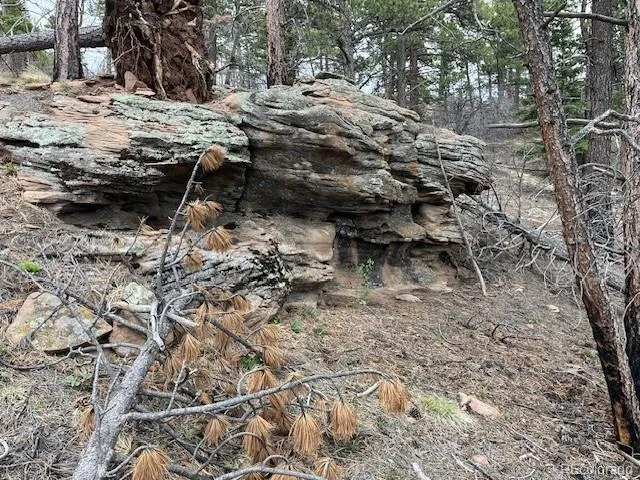 Lot 513 Leslie Loop Fort Garland, CO 81133