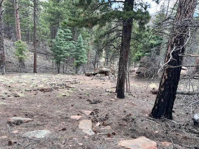 Lot 513 Leslie Loop Fort Garland, CO 81133
