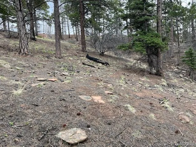 Lot 513 Leslie Loop Fort Garland, CO 81133