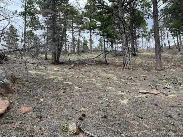 Lot 513 Leslie Loop Fort Garland, CO 81133