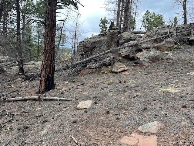 Lot 513 Leslie Loop Fort Garland, CO 81133
