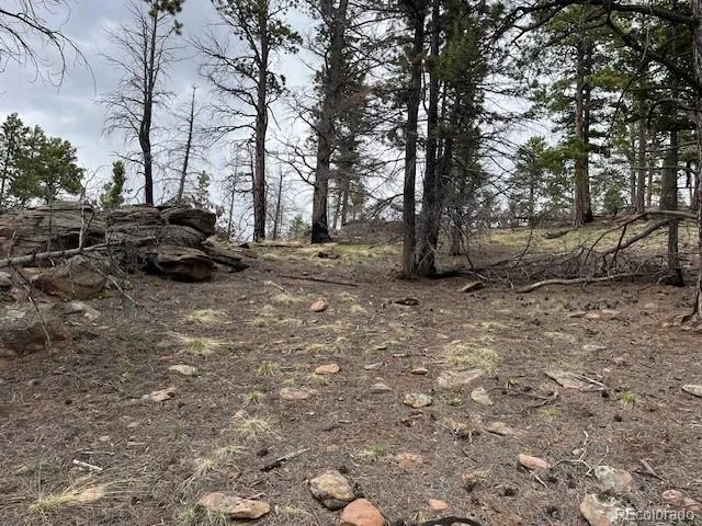 Lot 513 Leslie Loop Fort Garland, CO 81133