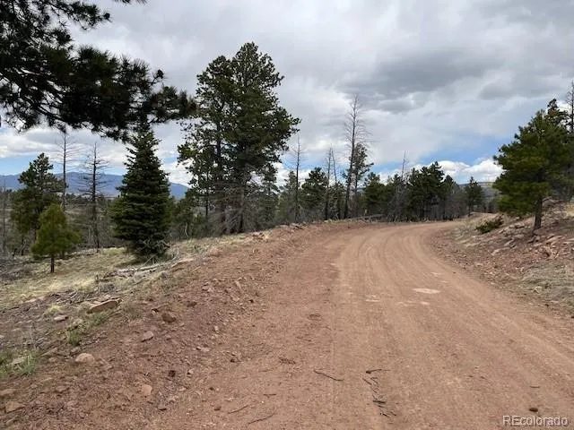 Lot 513 Leslie Loop Fort Garland, CO 81133