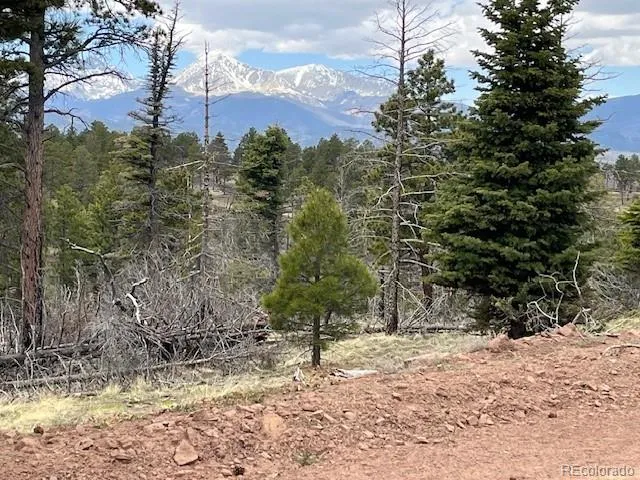 Lot 513 Leslie Loop Fort Garland, CO 81133