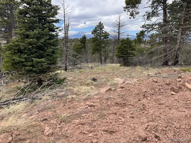 Lot 513 Leslie Loop Fort Garland, CO 81133