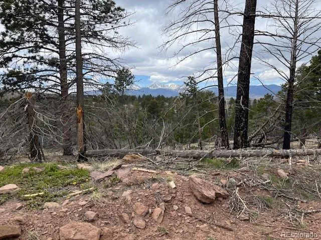 Lot 513 Leslie Loop Fort Garland, CO 81133