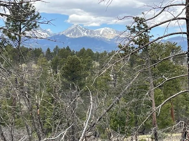 Lot 513 Leslie Loop Fort Garland, CO 81133