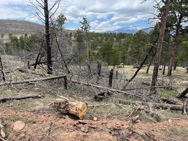 Lot 513 Leslie Loop Fort Garland, CO 81133