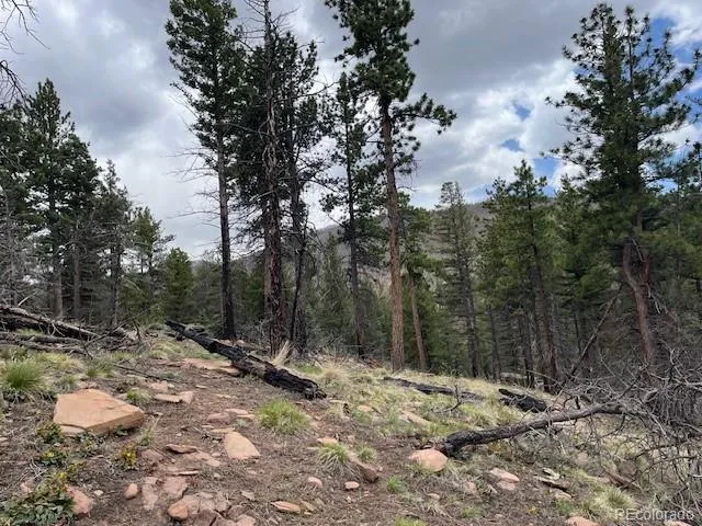 Lot 513 Leslie Loop Fort Garland, CO 81133