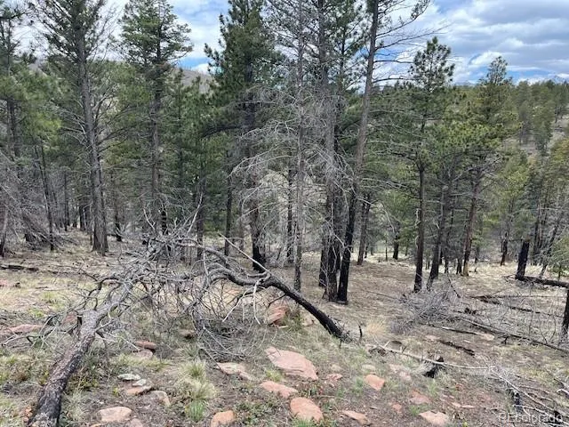 Lot 513 Leslie Loop Fort Garland, CO 81133