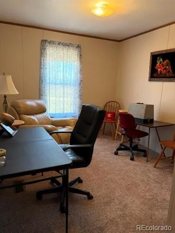 8084 Oak Drive Rye, CO 81069