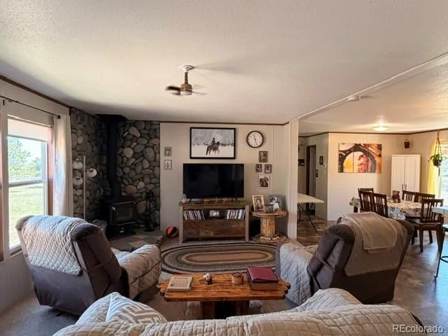 8084 Oak Drive Rye, CO 81069