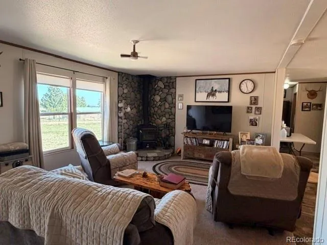 8084 Oak Drive Rye, CO 81069