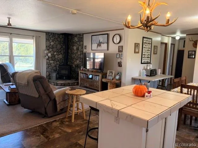 8084 Oak Drive Rye, CO 81069