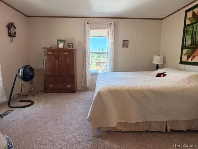 8084 Oak Drive Rye, CO 81069