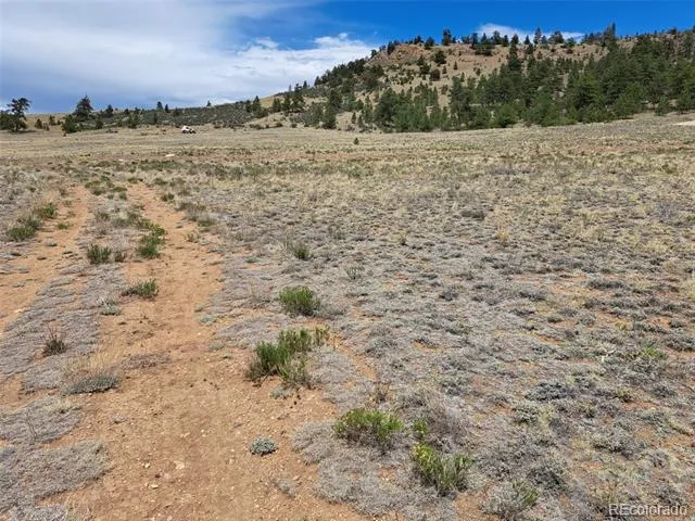 00 Cohonina Road Hartsel, CO 80449