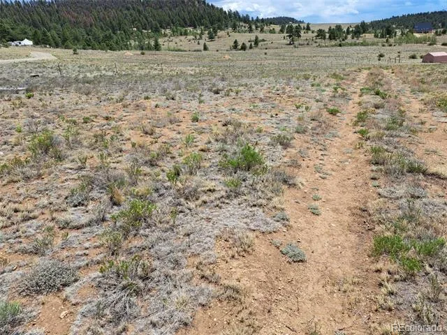 00 Cohonina Road Hartsel, CO 80449