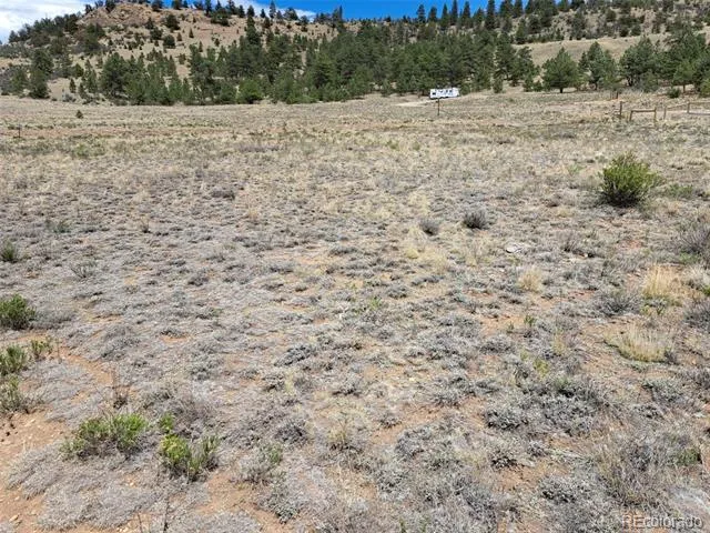00 Cohonina Road Hartsel, CO 80449