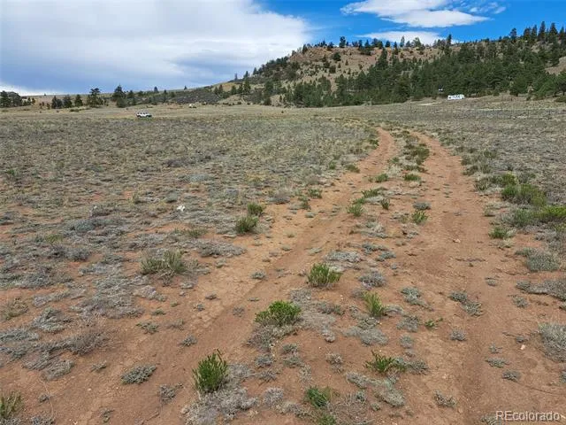 00 Cohonina Road Hartsel, CO 80449