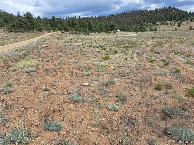 00 Cohonina Road Hartsel, CO 80449