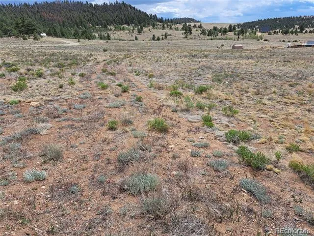 00 Cohonina Road Hartsel, CO 80449