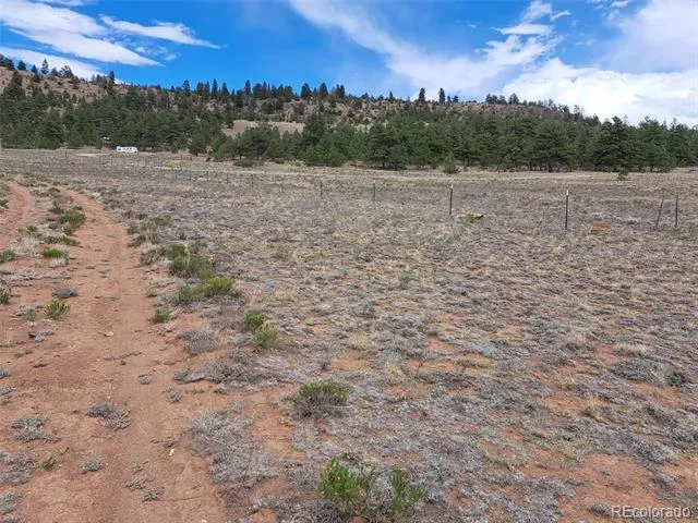 00 Cohonina Road Hartsel, CO 80449