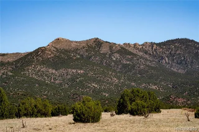 County Road 132 Penrose, CO 81240