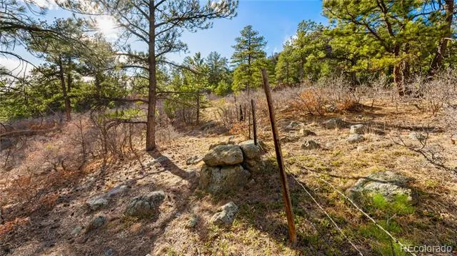 436 Fox Farm Road Larkspur, CO 80118