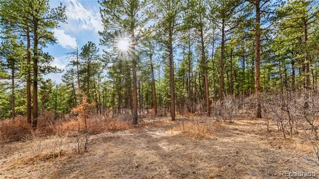436 Fox Farm Road Larkspur, CO 80118