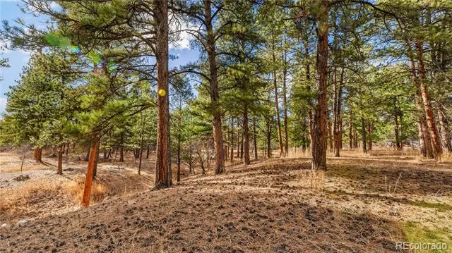 436 Fox Farm Road Larkspur, CO 80118
