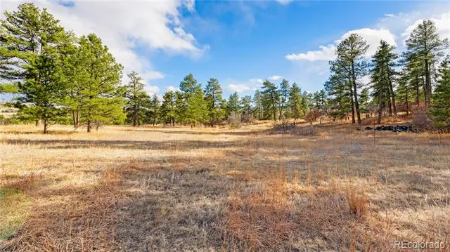 436 Fox Farm Road Larkspur, CO 80118