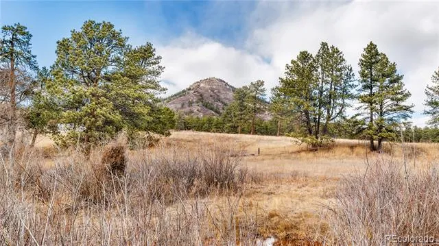 436 Fox Farm Road Larkspur, CO 80118