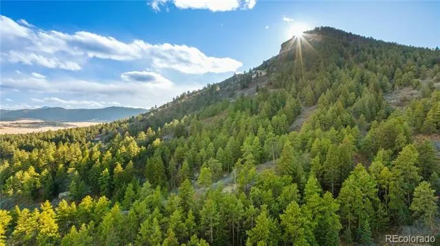 436 Fox Farm Road Larkspur, CO 80118