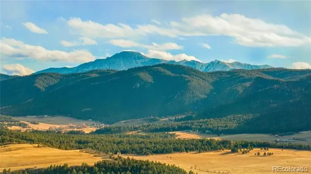436 Fox Farm Road Larkspur, CO 80118