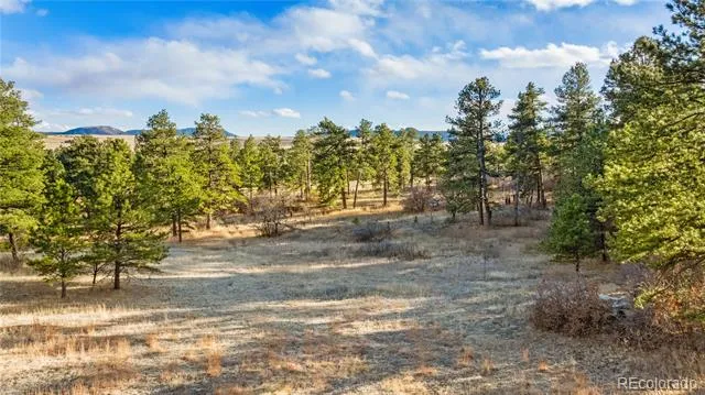 436 Fox Farm Road Larkspur, CO 80118