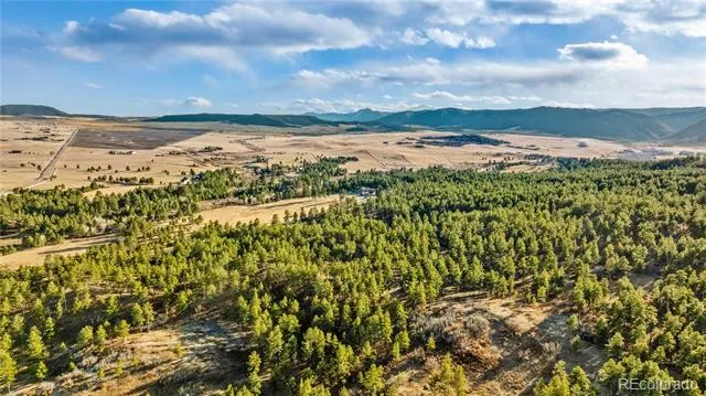 436 Fox Farm Road Larkspur, CO 80118