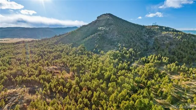 436 Fox Farm Road Larkspur, CO 80118