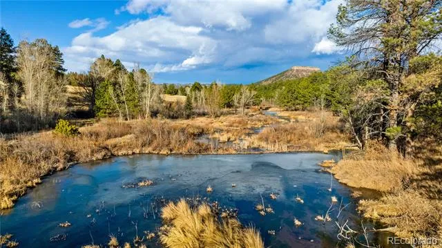 436 Fox Farm Road Larkspur, CO 80118
