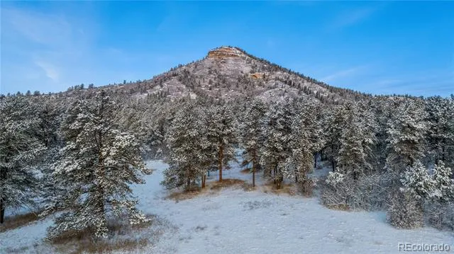436 Fox Farm Road Larkspur, CO 80118