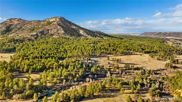 436 Fox Farm Road Larkspur, CO 80118