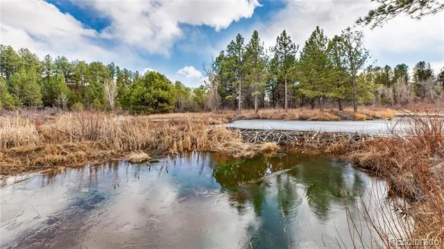 436 Fox Farm Road Larkspur, CO 80118