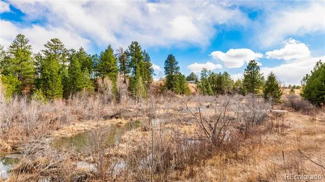 436 Fox Farm Road Larkspur, CO 80118
