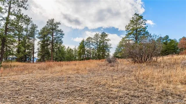 436 Fox Farm Road Larkspur, CO 80118
