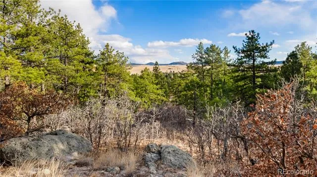 436 Fox Farm Road Larkspur, CO 80118