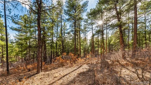 436 Fox Farm Road Larkspur, CO 80118
